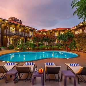 Aurum Resorts Morjim